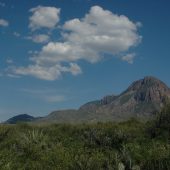  Big Bend